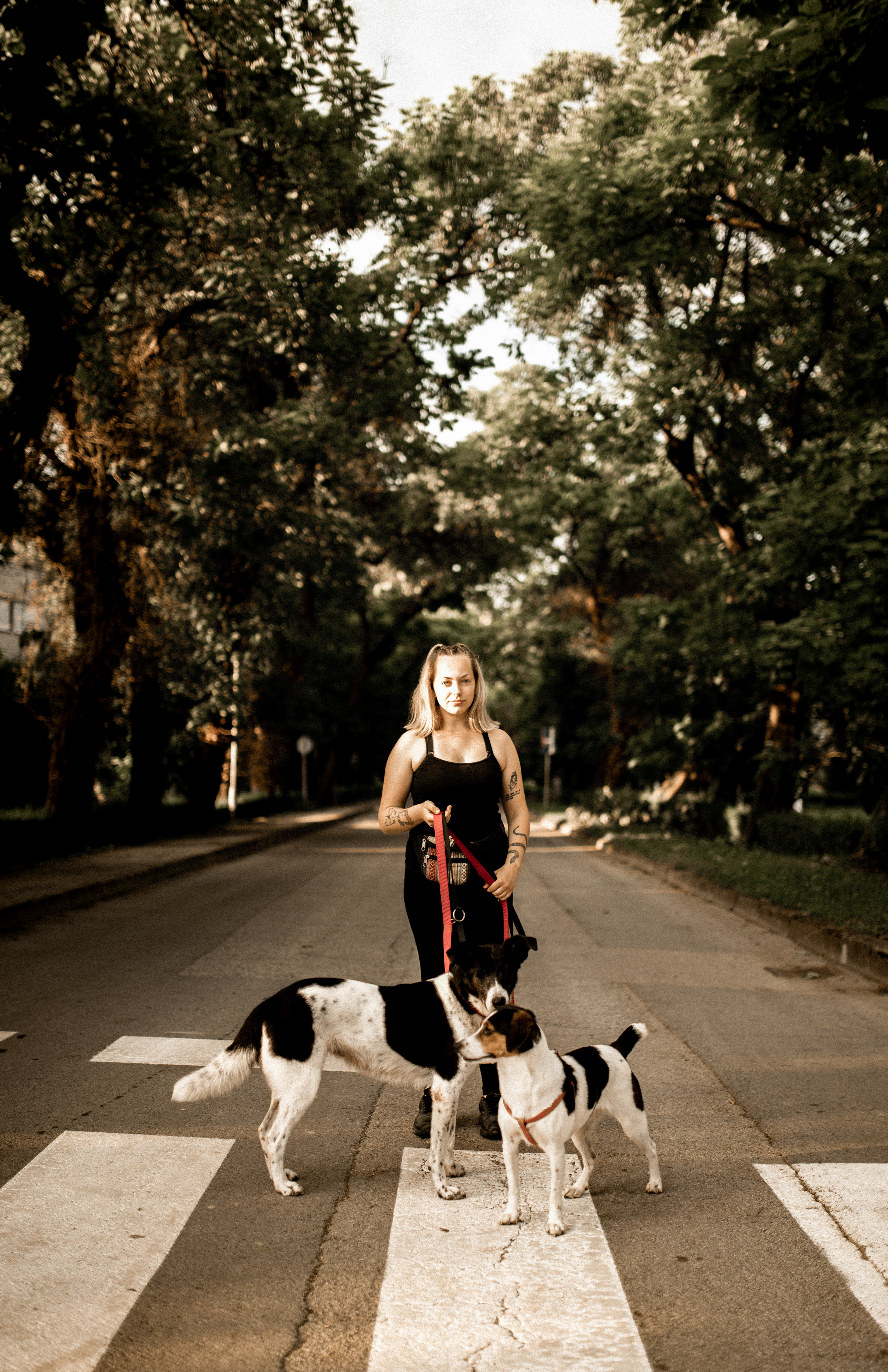 pet sitting